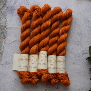 Artemis Sock mini - Lucien