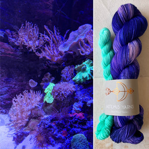 Aquatic summer Sock set - Deep Sea + Chlorophus