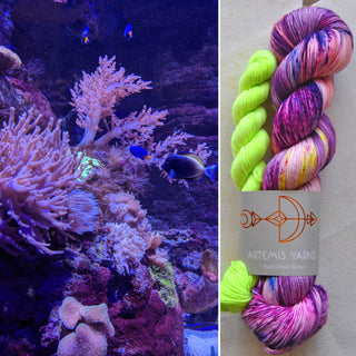 Aquatic summer Sock set - Coral Reef + Bioluminescent