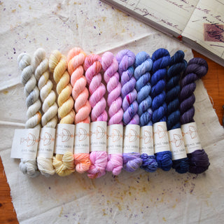 Set de 11 mini skeins - Artemis Sock - Summer walk