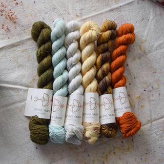 Set of 6 minis skeins - Artemis Sock et Yack sock - Fall