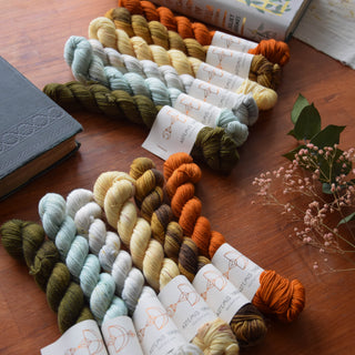Set of 6 minis skeins - Artemis Sock et Yack sock - Fall