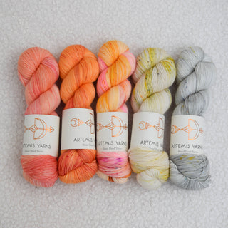 5 skeins set - Artemis Soft Sock 100g - Neso x Scales