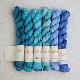 Combo de 6 couleurs - Artemis 50g sock - Thetis x Feyre