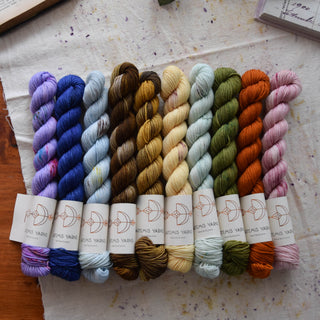 Set of 11 minis skeins - Artemis Sock - Fall walk