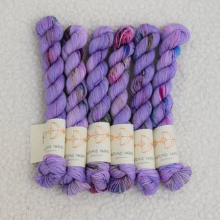 Artemis Sock mini - Blackberry cake