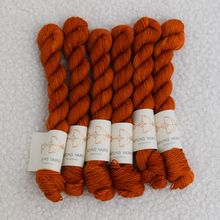 Artemis Sock mini - Lucien